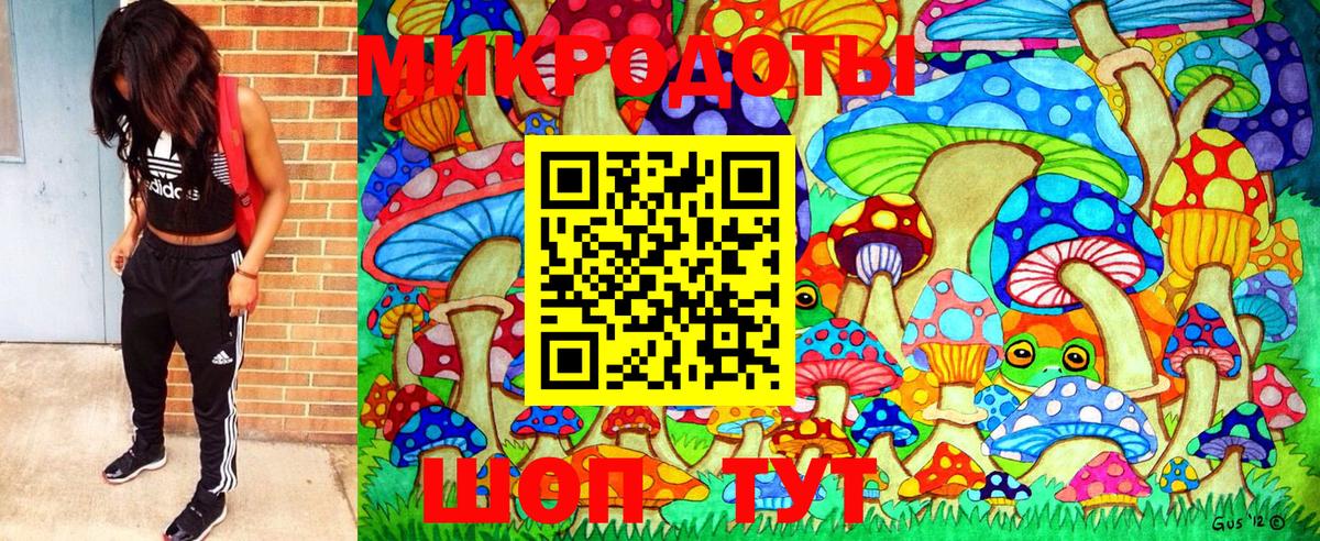 Магнитогорск  где продают наркотики  Вход с VPN  Галлюциногенные грибы Psilocybine cubensis 